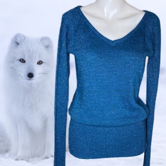 Tulle Sparkly Blue V- Neck Sweater Blue Size M - Picture 1 of 7